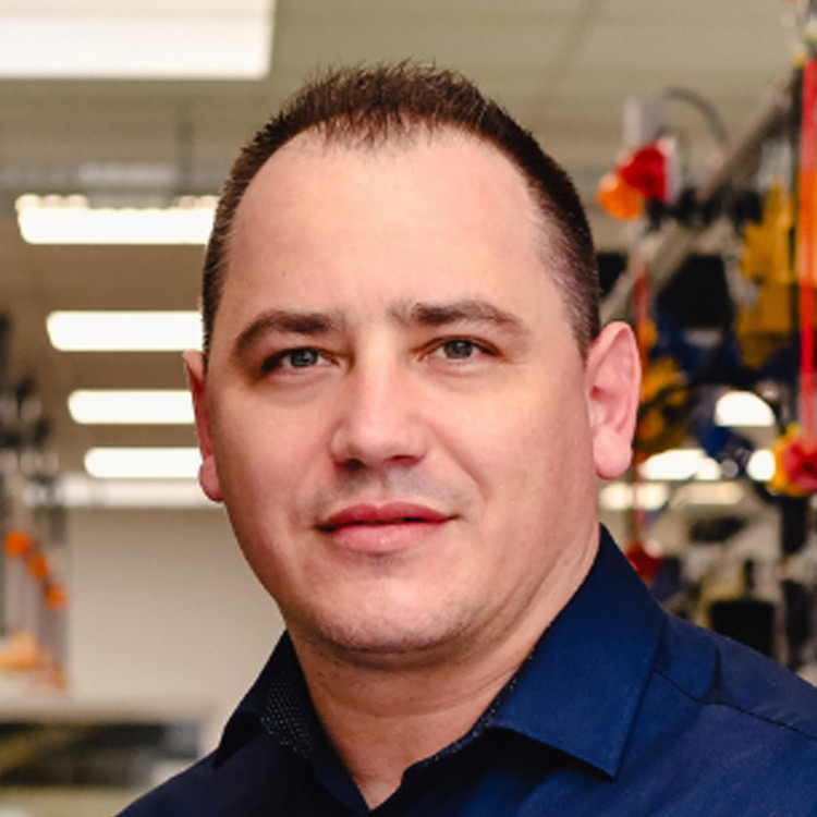 Marcin Grzesik — Toyota Motor Manufacturing Poland