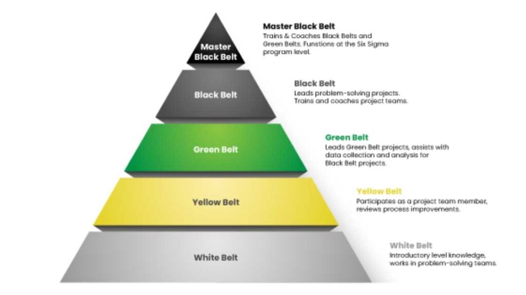 Lean Six Sigma Poziomy