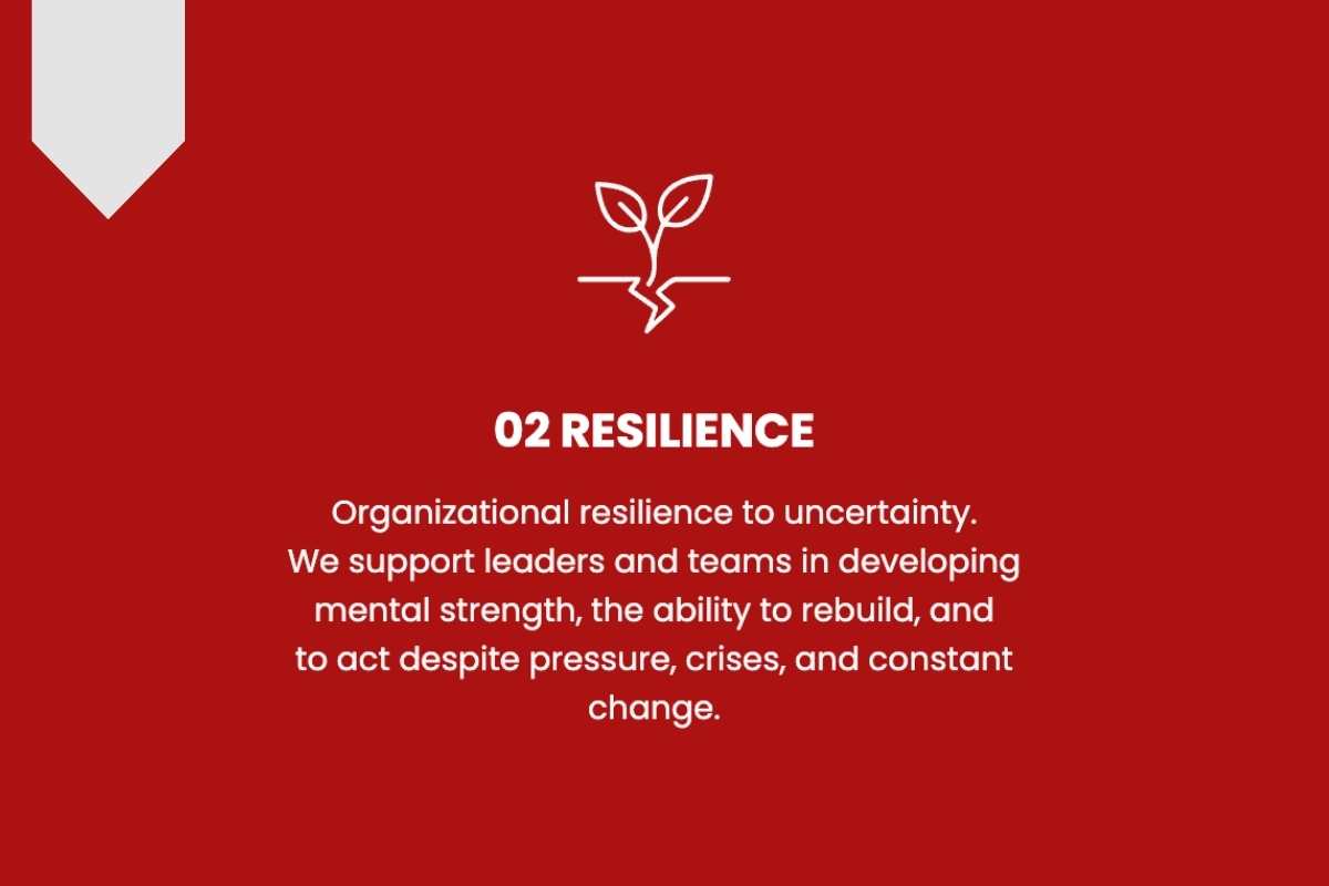 Organizational Resilience