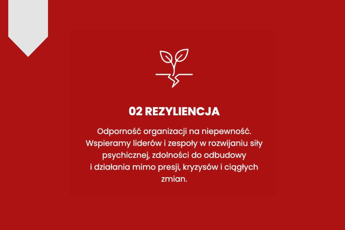 Rezyliencja organizacji