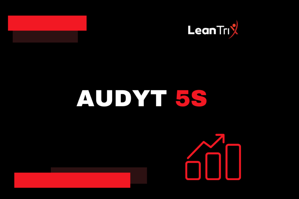 Audyt 5s