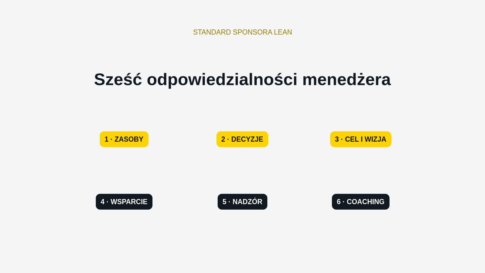 Sześć odpowiedzialności sponsora transformacji Lean w VMI Poland