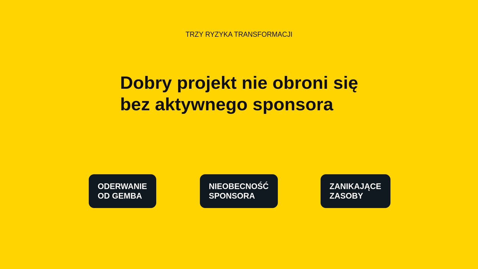Trzy ryzyka zatrzymujące wdrożenie Lean w VMI Poland